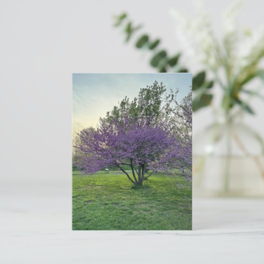 Postkarte lila Bäume (Stehend Vorderseite)