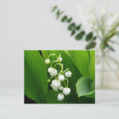Postkarte "Lily-of-the-Valley" (Stehend Vorderseite)