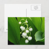 Postkarte "Lily-of-the-Valley" (Vorne/Hinten)