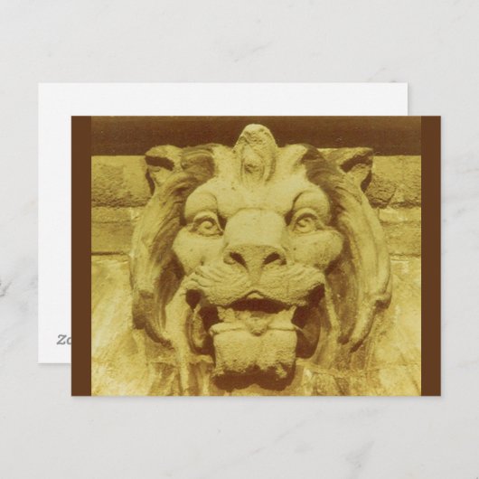 Postkarte - Löwen Kopf (Vorne/Hinten)