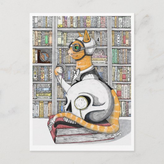 Postkarte: Luftfahrt für Katzen Postkarte (Vorderseite)