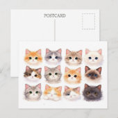 Postkarte. Lustige Kätzchen Postkarte (Vorne/Hinten)