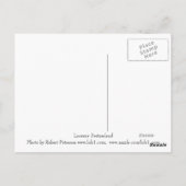 Postkarte Luzern Schweiz Reuss Fluss Altstadt (Rückseite)