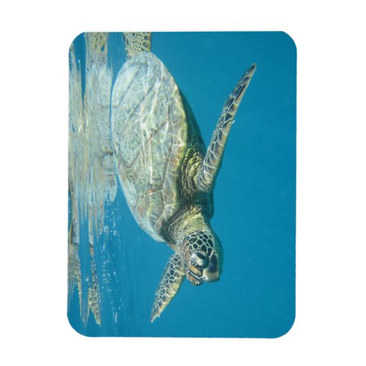 Postkarte Magnet (Vertikal)