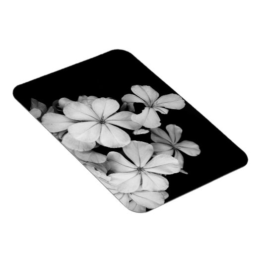 Postkarte Magnet (Rechte Seite)