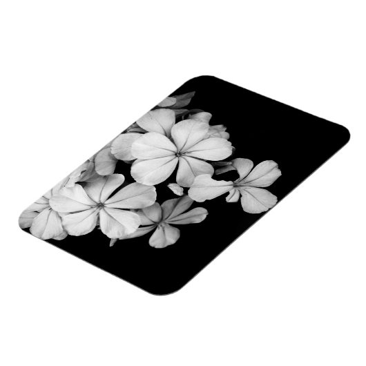 Postkarte Magnet (Linke Seite)