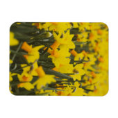 Postkarte Magnet (Horizontal)