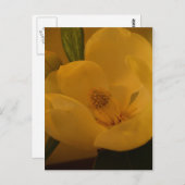 Postkarte "Magnolia Sateen" (Vorne/Hinten)