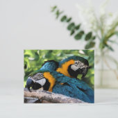 Postkarte/Makros Postkarte (Stehend Vorderseite)