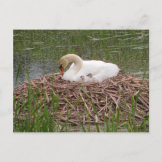 Postkarte Mama und Kleine Kleine (2)