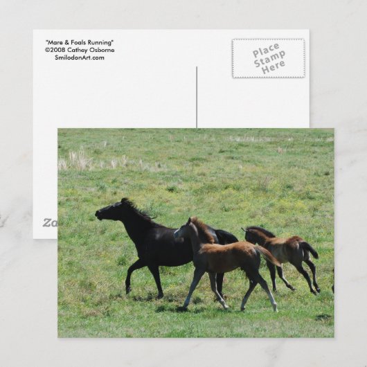 Postkarte - Mare & Foals laufen (Vorne/Hinten)