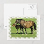 Postkarte Mare und Fohlen (Vorne/Hinten)
