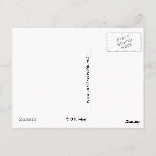 Postkarte - Markt für Bauer unterstützen - Cabbage (Rückseite)