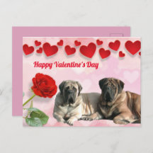Postkarte Mastiff Valentinstags 