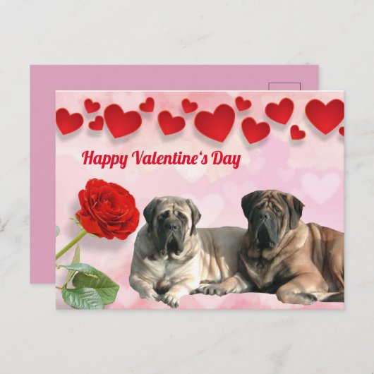 Postkarte Mastiff Valentinstags  (Vorne/Hinten)