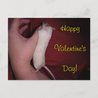 Postkarte: Mäuseumarmungs-Valentinsgruß Feiertagspostkarte