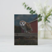 Postkarte "McHoots the Watch Owl" (Stehend Vorderseite)