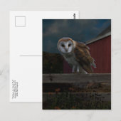 Postkarte "McHoots the Watch Owl" (Vorne/Hinten)