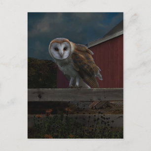 Postkarte "McHoots the Watch Owl"