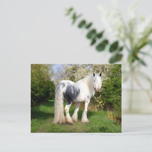 Postkarte "Mirabeau" (Stehend Vorderseite)