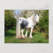 Postkarte "Mirabeau" (Vorderseite)