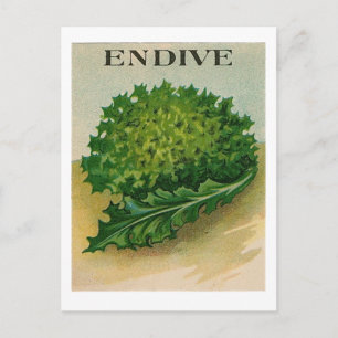 Postkarte mit altem Endiviensamen-Paket