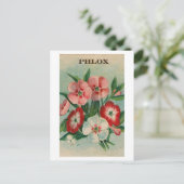 Postkarte mit altem Phlox-Samenpaket (Stehend Vorderseite)