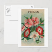 Postkarte mit altem Phlox-Samenpaket (Vorne/Hinten)
