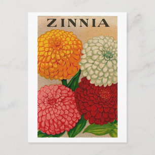 Postkarte mit altem Zinnien-Samenpaket