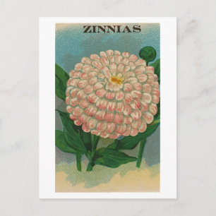 Postkarte mit altem Zinnien-Samenpaket in Rosa