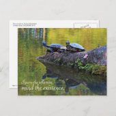 Postkarte mit Angebot (Vorne/Hinten)