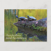 Postkarte mit Angebot (Vorderseite)