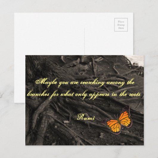 Postkarte mit Angebot von Rumi (Vorne/Hinten)