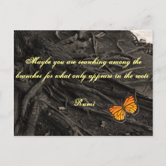 Postkarte mit Angebot von Rumi (Vorderseite)