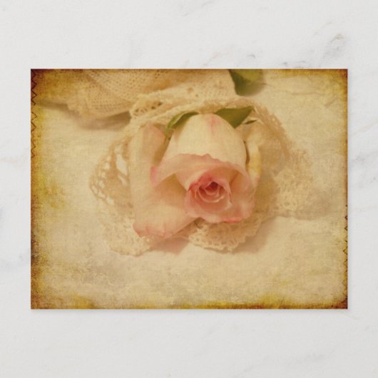 Postkarte mit antiker Rose (Vorderseite)