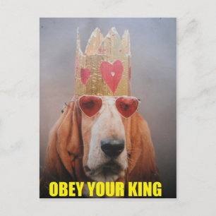 Postkarte mit Basset Hound King
