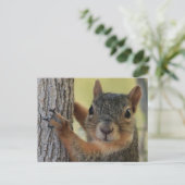 Postkarte mit Baumkroneneichhörnchen (Stehend Vorderseite)