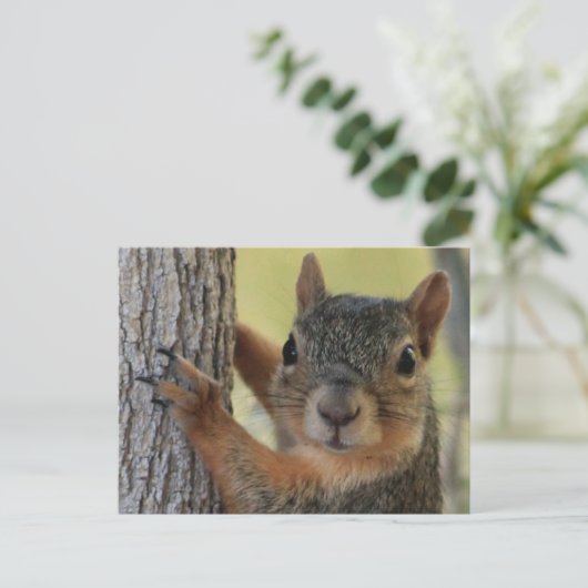 Postkarte mit Baumkroneneichhörnchen (Stehend Vorderseite)
