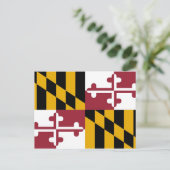 Postkarte mit der Flagge von Maryland Staat - USA (Stehend Vorderseite)