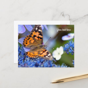 Postkarte mit Distelfalter Schmetterling
