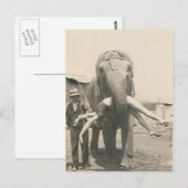 Postkarte mit Elefant mit Mädchen im Maul (Vorne/Hinten)