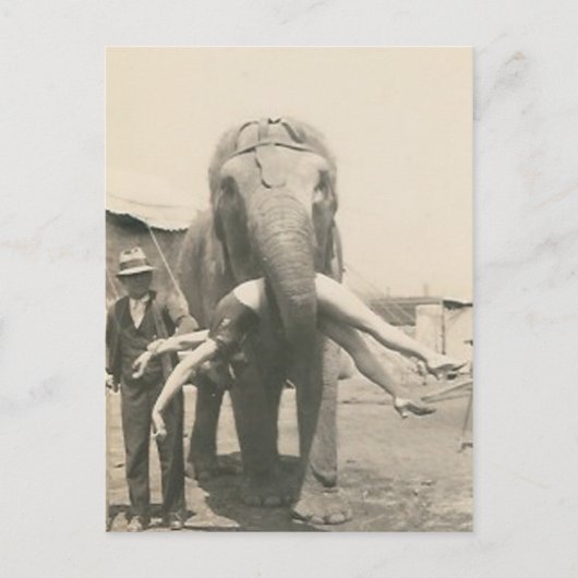 Postkarte mit Elefant mit Mädchen im Maul (Vorderseite)