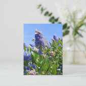 Postkarte mit Fliederblumen im englischen Garten (Stehend Vorderseite)