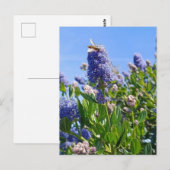 Postkarte mit Fliederblumen im englischen Garten (Vorne/Hinten)