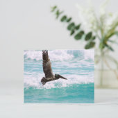 Postkarte mit fliegendem Pelikan gegen das Wasser (Stehend Vorderseite)