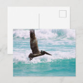 Postkarte mit fliegendem Pelikan gegen das Wasser (Vorne/Hinten)