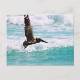 Postkarte mit fliegendem Pelikan gegen das Wasser