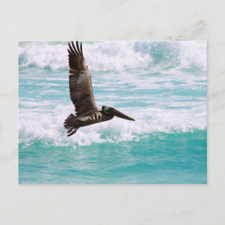 Postkarte mit fliegendem Pelikan gegen das Wasser