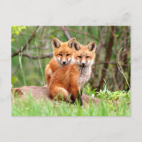 Postkarte mit Foto der Ausrüstungen des roten