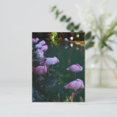 Postkarte mit Foto von rosa Flamingos (Stehend Vorderseite)